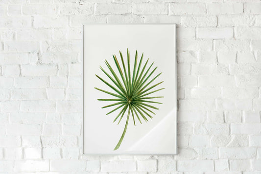 Tropical Abstract Print, Wall Art, Home Decor, Bathroom Decor, Botanical Illustration, Tropical, Leaf Print, Bathroom Prints, Home Prints