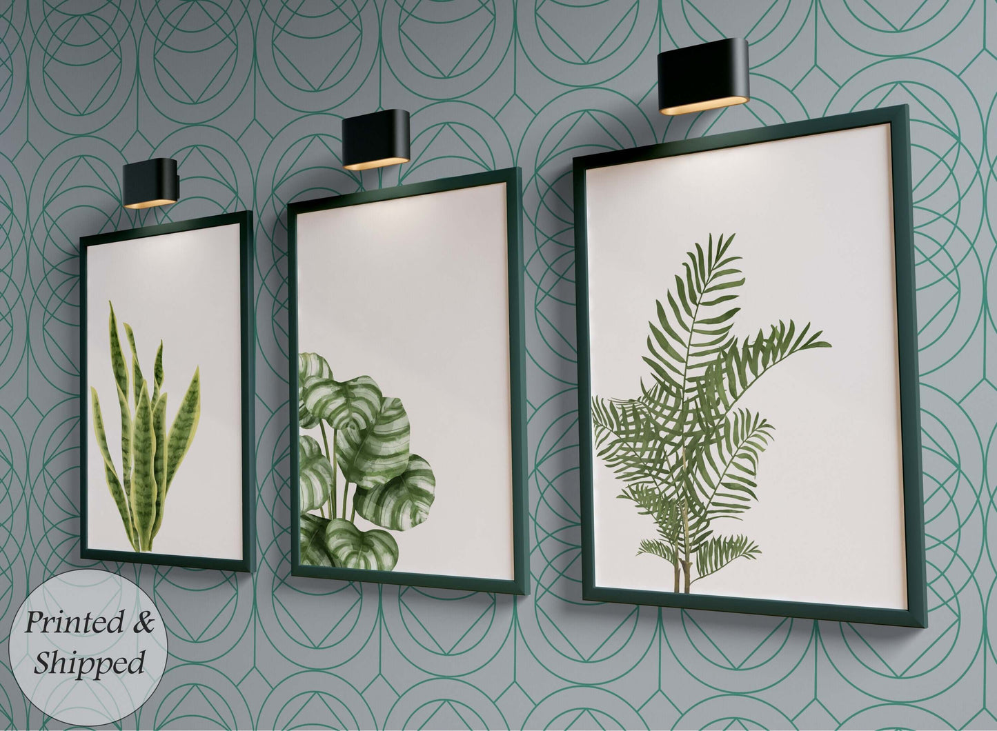 Set Of 3 Hand Drawn Botanical Prints, Wall Art, Home Decor, Bathroom Decor, Botanical Illustration, Leaf Prints, Bathroom Prints,Home Prints
