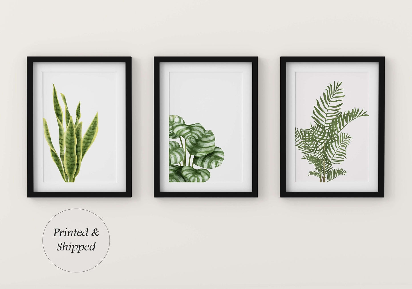 Set Of 3 Hand Drawn Botanical Prints, Wall Art, Home Decor, Bathroom Decor, Botanical Illustration, Leaf Prints, Bathroom Prints,Home Prints