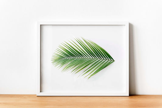 Tropical Leaf Print, Wall Art, Home Decor, Bathroom Decor, Botanical Illustration, Tropical, Leaf Print, Bathroom Prints, Home Prints