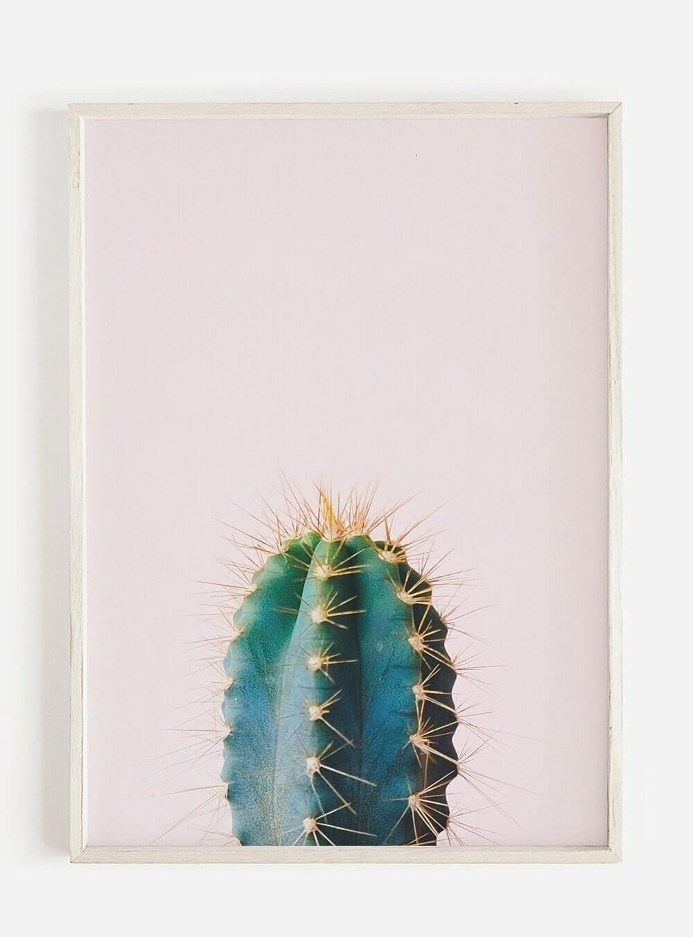 Cactus Print, Wall Art, Home Decor, Bathroom Decor, Succulent Print, Tropical, Botanical Wall Art , Bathroom Prints, Minimalist print