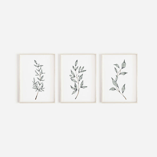 Botanical Prints, Set of 3 Prints, Wall Art, Home Decor, Bathroom Decor, Botanical Illustration, Leaf Prints, Bathroom Prints, Home Prints