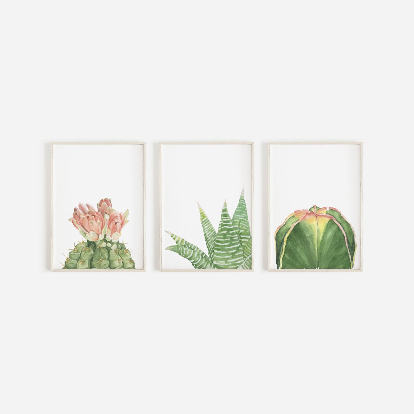 Set Of 3 Cactus Prints, Botanical Wall Art, Succulent Prints, Home Decor Prints, Minimalist Print, Cactus Print, Bathroom Prints,Home Prints
