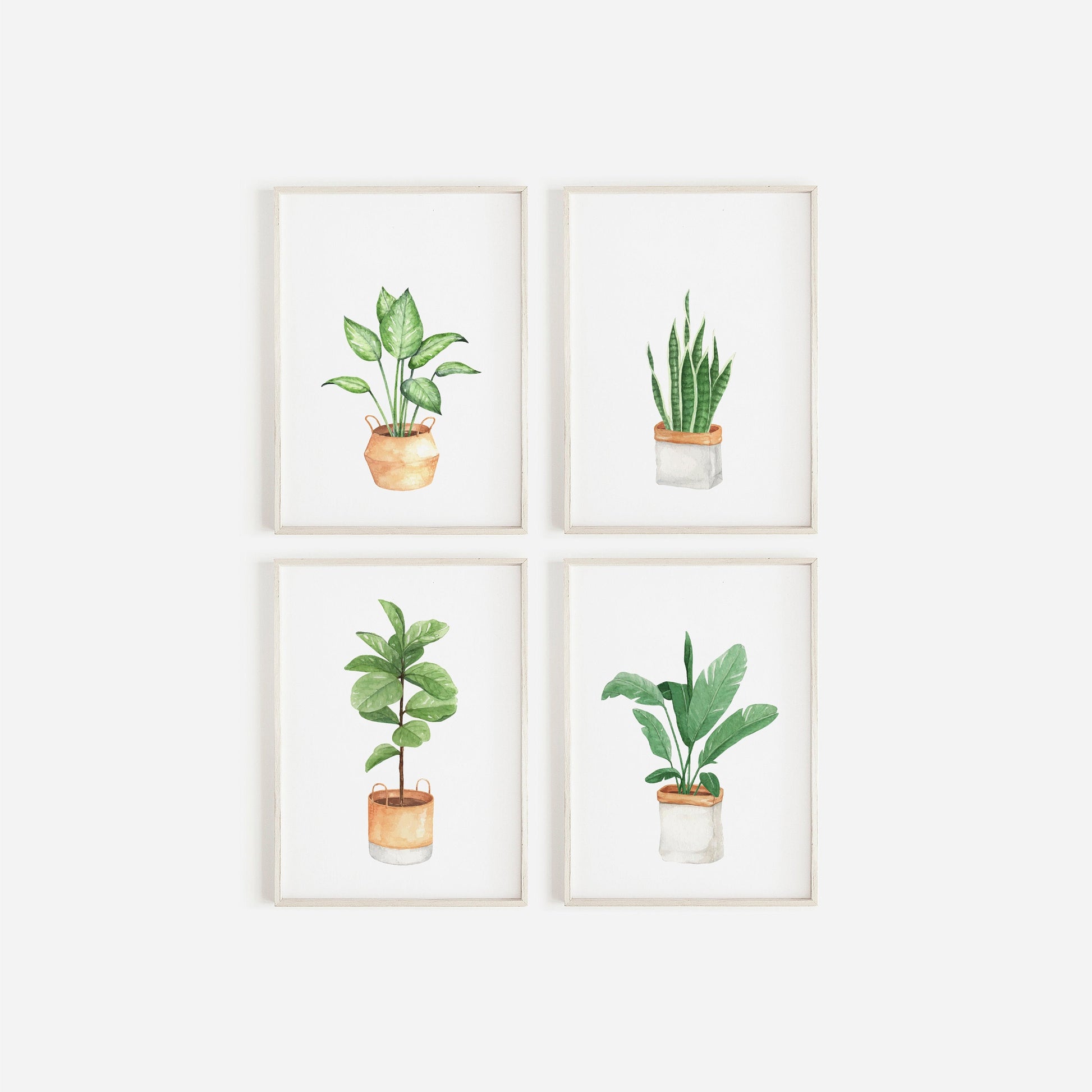 Set Of 4 Botanical Potted Prints, Wall Art, Home Decor, Bathroom Decor, Botanical Illustration, Leaf Prints, Bathroom Prints, Home Prints