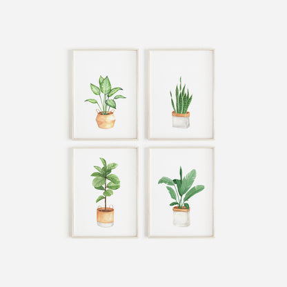 Set Of 4 Botanical Potted Prints, Wall Art, Home Decor, Bathroom Decor, Botanical Illustration, Leaf Prints, Bathroom Prints, Home Prints