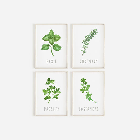 Set Of 4 Kitchen Herb Prints, Wall Art, Home Decor, Kitchen Decor, Kitchen Wall Art, Watercolour Prints, Botanical Prints, Home Prints