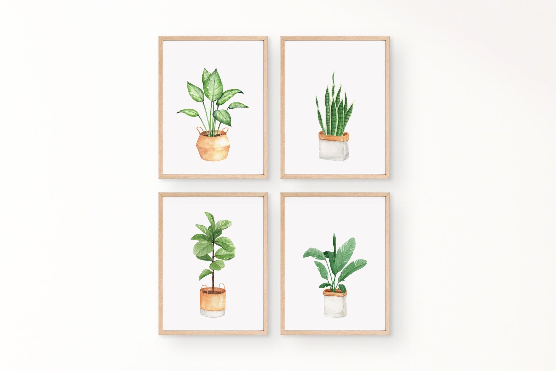 Set Of 4 Botanical Potted Prints, Wall Art, Home Decor, Bathroom Decor, Botanical Illustration, Leaf Prints, Bathroom Prints, Home Prints