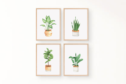 Set Of 4 Botanical Potted Prints, Wall Art, Home Decor, Bathroom Decor, Botanical Illustration, Leaf Prints, Bathroom Prints, Home Prints