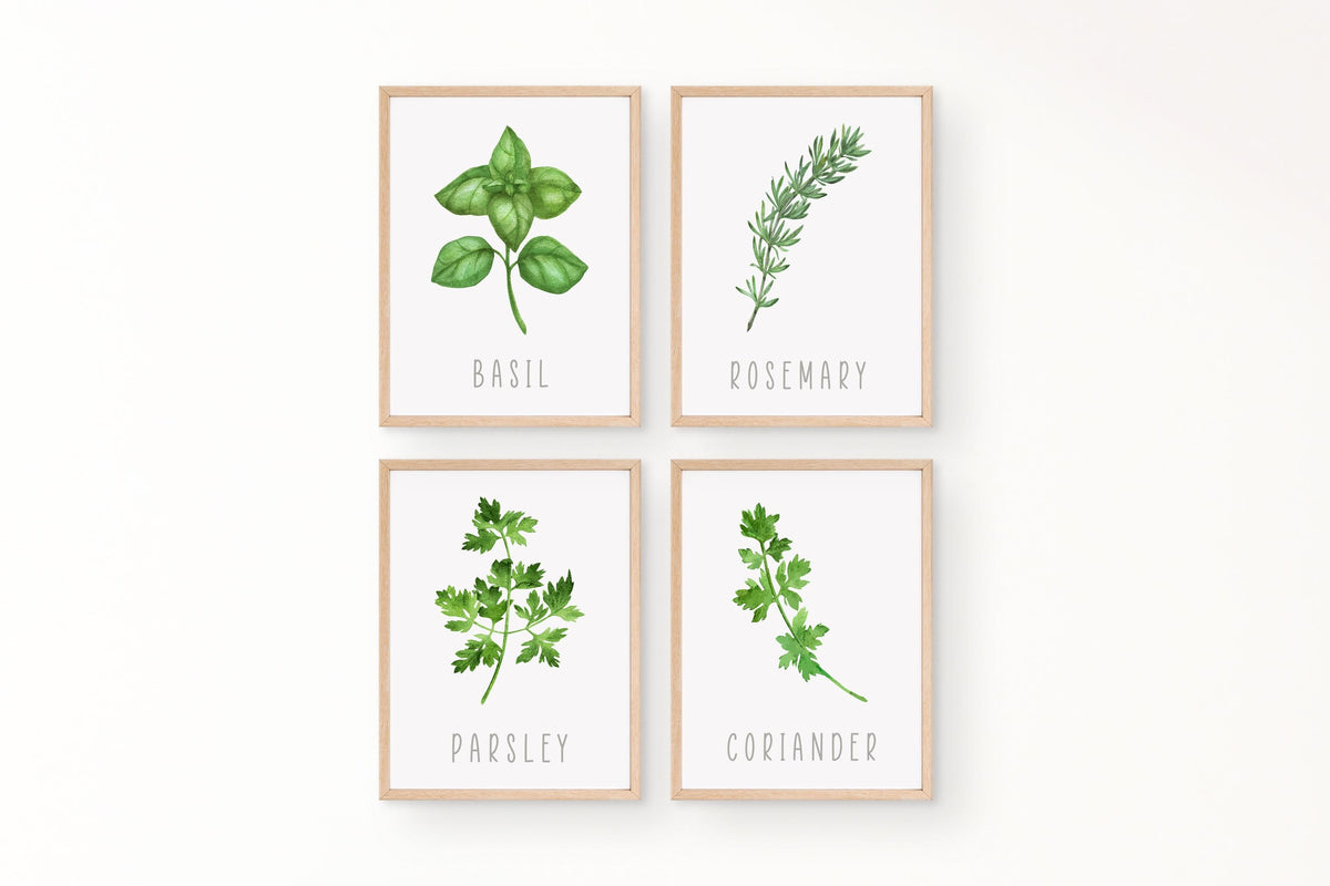 Set Of 4 Kitchen Herb Prints, Wall Art, Home Decor, Kitchen Decor, Kit