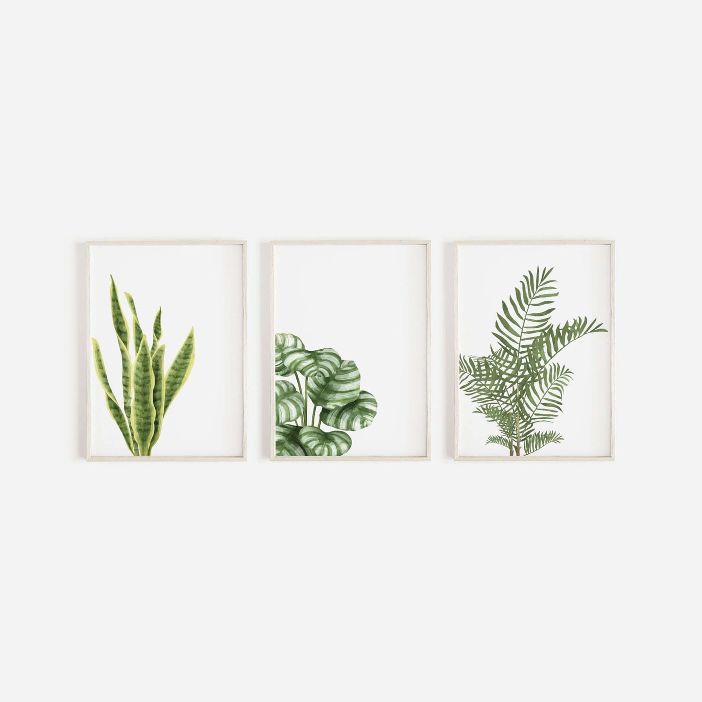 Set Of 3 Hand Drawn Botanical Prints, Wall Art, Home Decor, Bathroom Decor, Botanical Illustration, Leaf Prints, Bathroom Prints,Home Prints - The Gift Studio