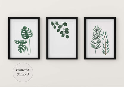 Botanical Prints, Set of 3 Prints, Wall Art, Home Decor, Bathroom Decor, Botanical Illustration, Leaf Prints, Bathroom Prints, Home Prints