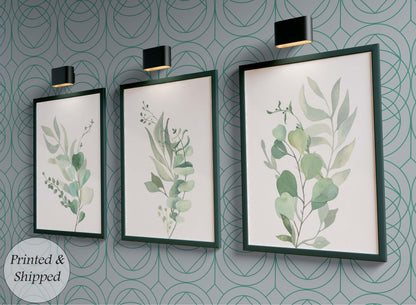 Eucalyptus Watercolour Prints, Botanical Prints, Botanical Art, Set Of 3, Leaf Prints, Home Decor, Bathroom Decor, House Plant Prints