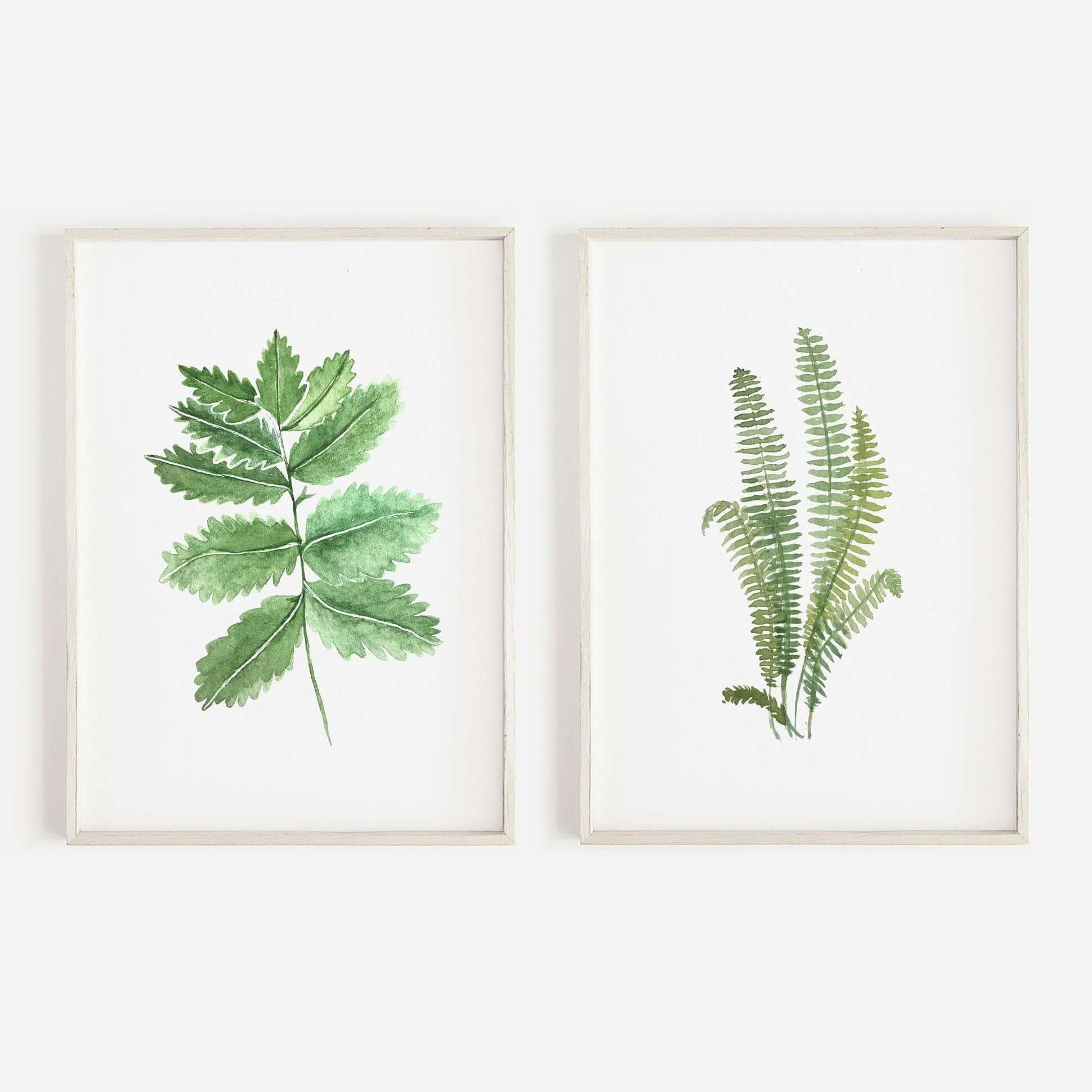 Set Of 2 Fern Botanical Prints, Wall Art, Home Decor, Bathroom Decor, Botanical Illustration, Leaf Prints, Bathroom Prints, Home Prints